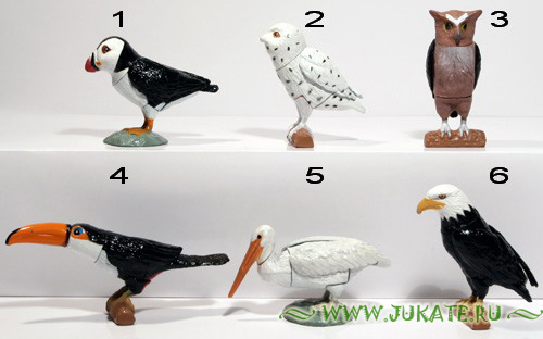Maraja / Mini Puzzlelad Birds (2005-06)