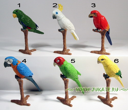 Maraja / Mini Puzzlelad Parrots (2005-06)